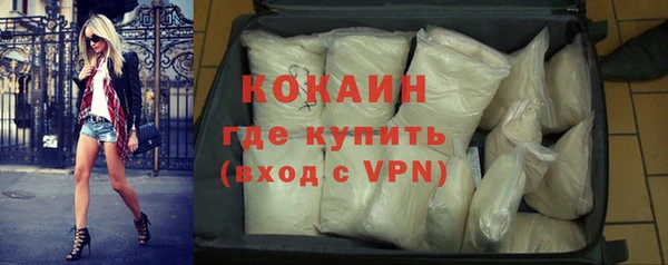 шишки Горно-Алтайск