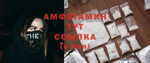 ПСИЛОЦИБИНОВЫЕ ГРИБЫ Горняк