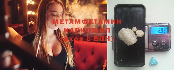 ПСИЛОЦИБИНОВЫЕ ГРИБЫ Вяземский