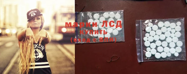 ПСИЛОЦИБИНОВЫЕ ГРИБЫ Вяземский