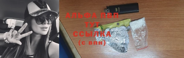 ПСИЛОЦИБИНОВЫЕ ГРИБЫ Вяземский