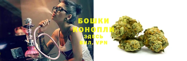 ПСИЛОЦИБИНОВЫЕ ГРИБЫ Вяземский