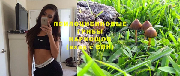 ПСИЛОЦИБИНОВЫЕ ГРИБЫ Вяземский