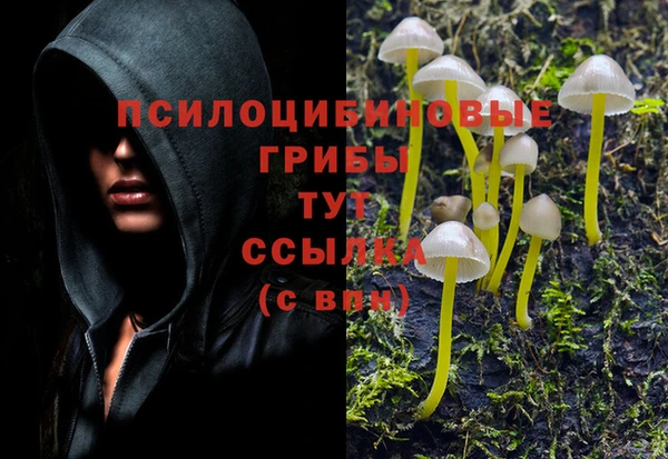 прущие крисы Вязьма