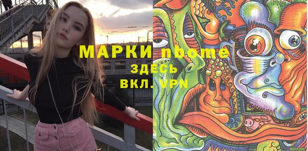 индика Слюдянка