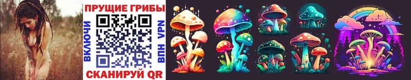 Галлюциногенные грибы MAGIC MUSHROOMS  Купить где  Щёлкино 